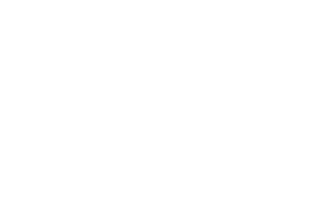 SpeedBrake Pastilhas para Freios